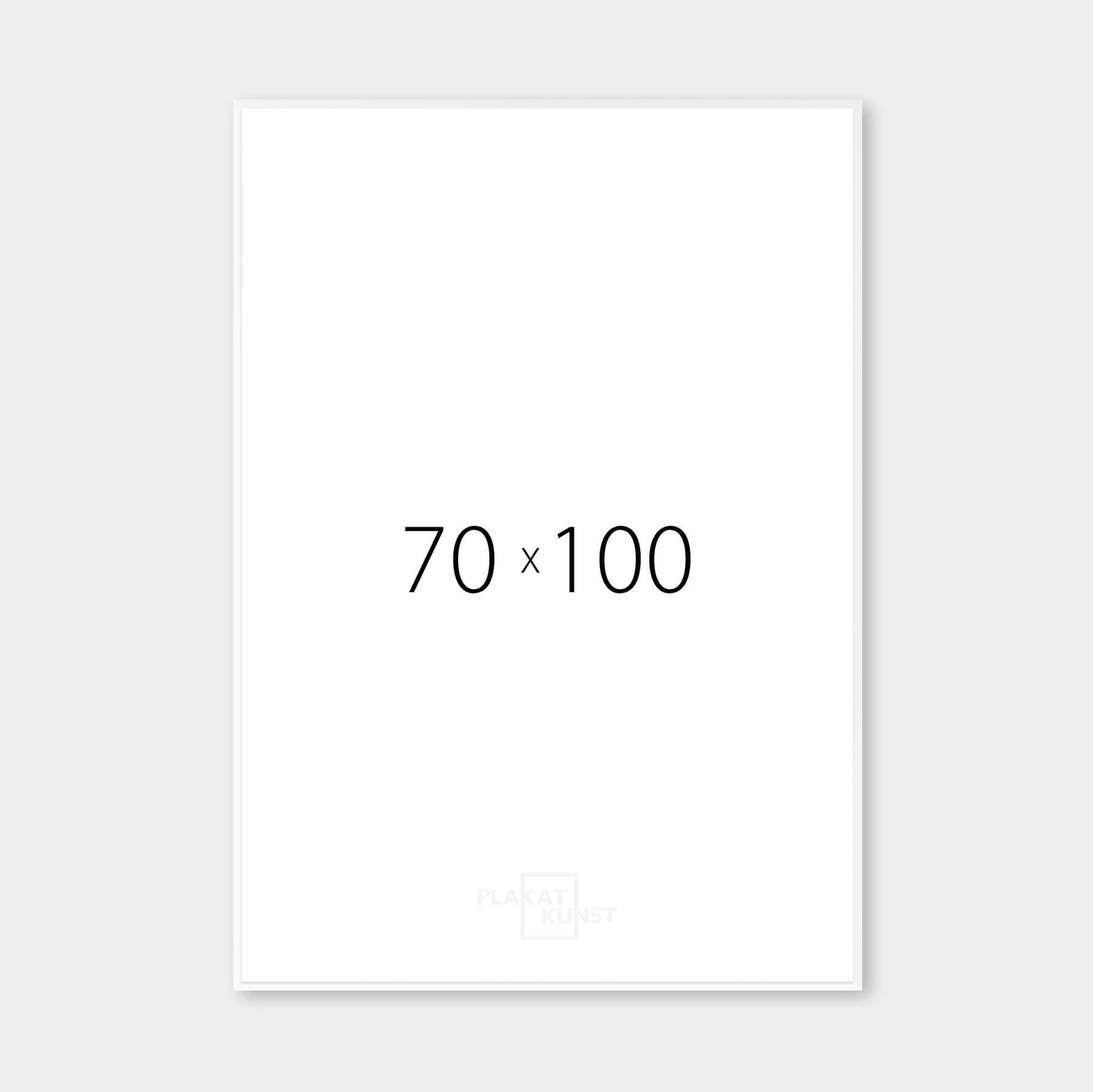 Mat sølv premium aluramme - Smal (6 mm) - 70x100 cm-PlakatKunst