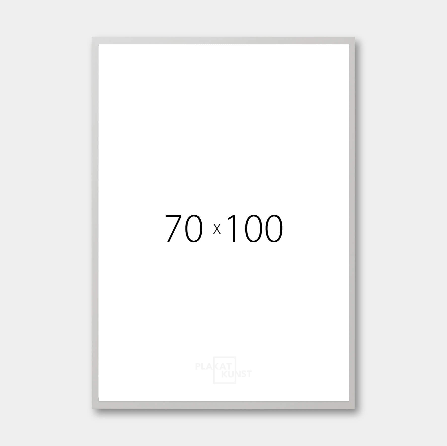 Silberner Holzrahmen – Breit (20 mm) – 70x100 cm