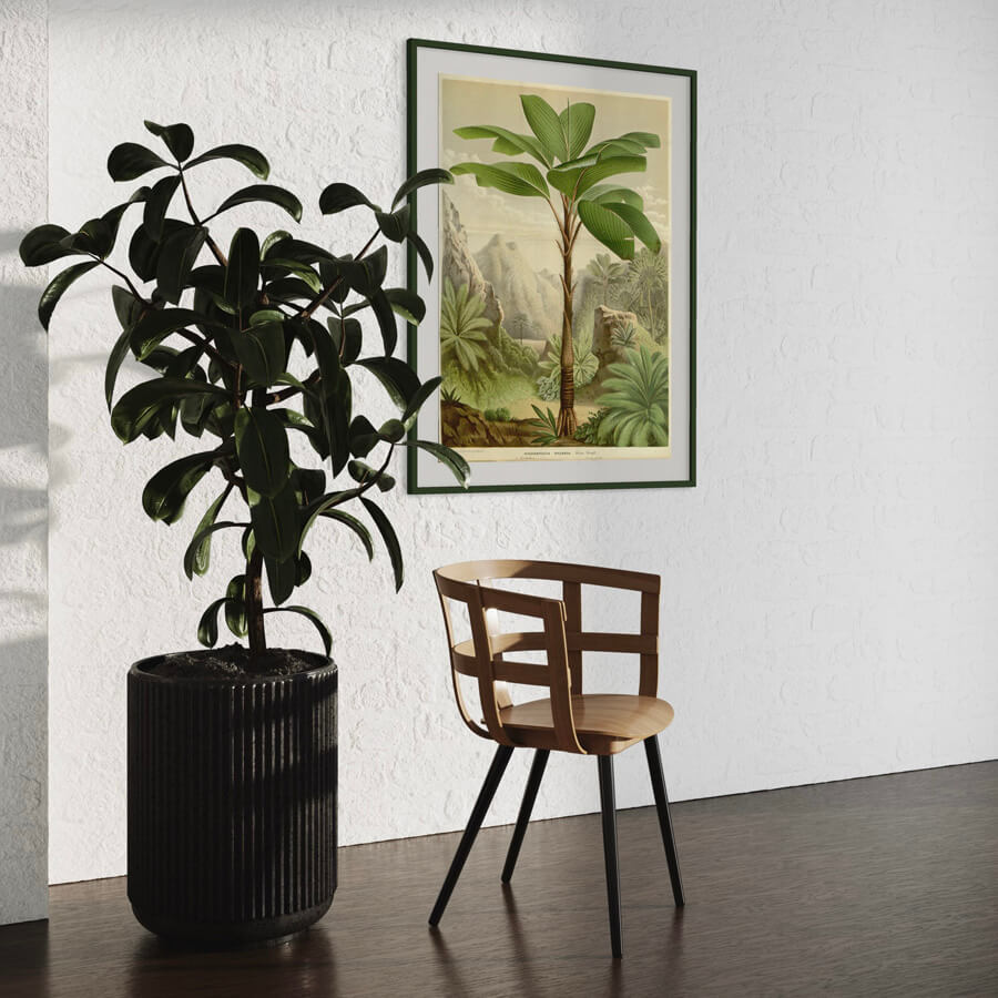 Flora