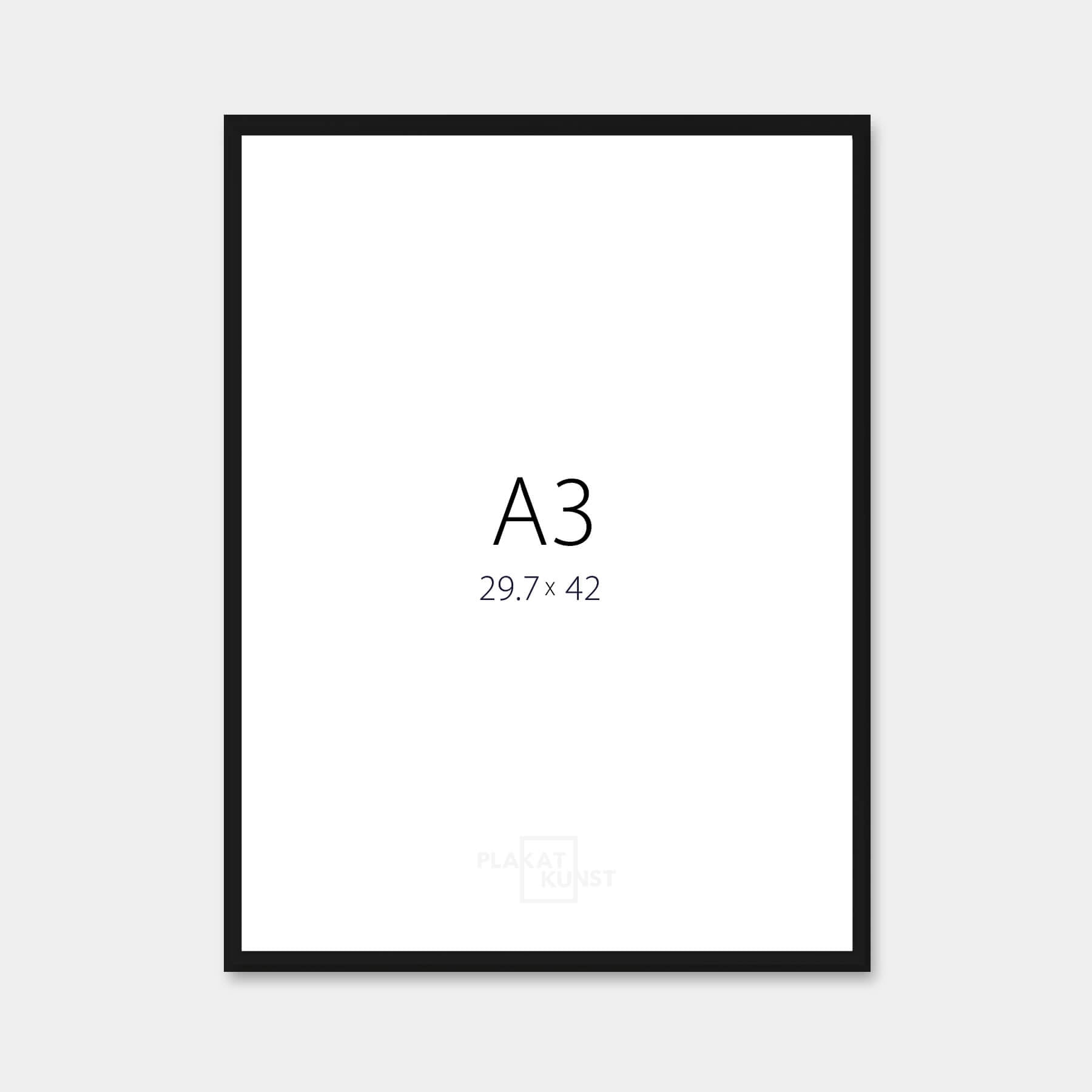 Schwarzer Aluminiumrahmen - Schmal (9 mm) - A3 (30 x 42 cm)