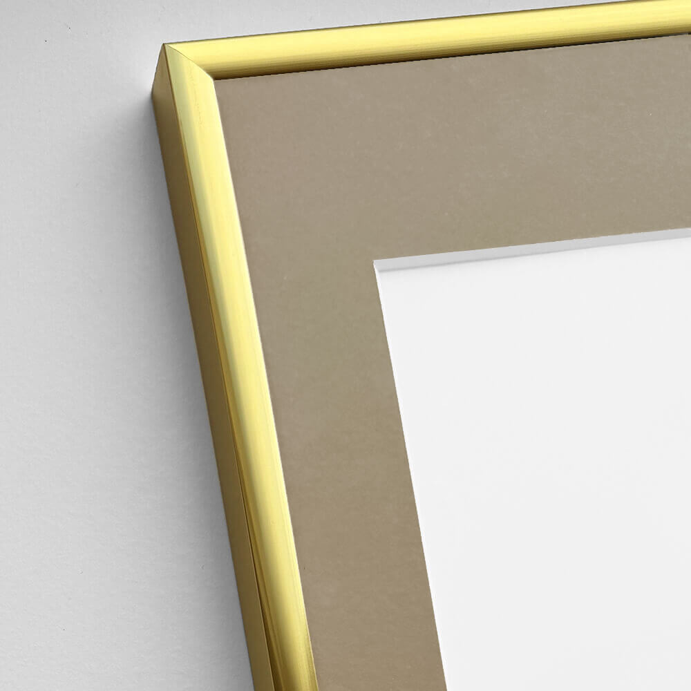 Aluminiumrahmen Gold - Schmal (9 mm) - 60×80 cm
