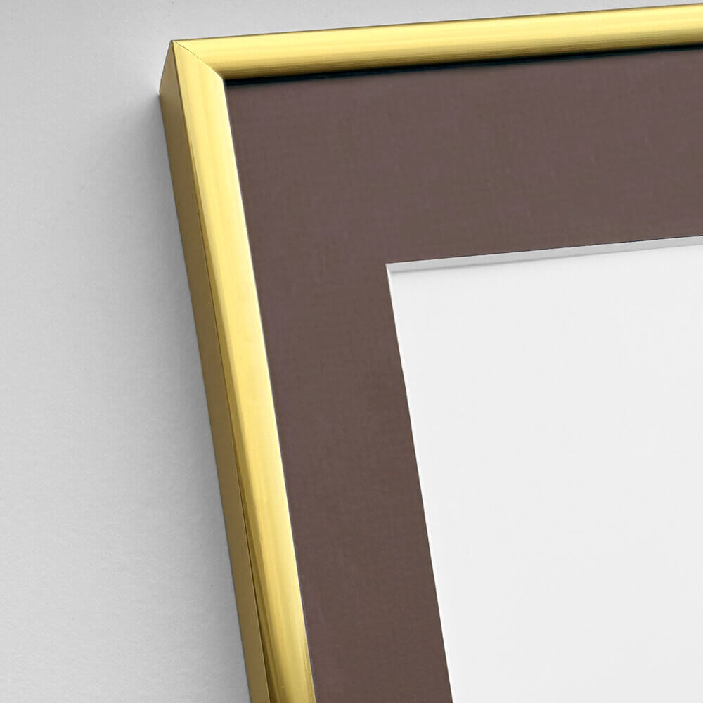Aluminiumrahmen Gold - Schmal (9 mm) - 60×80 cm