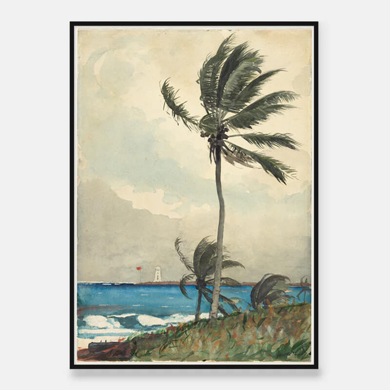 Nassau-Palme im Wind