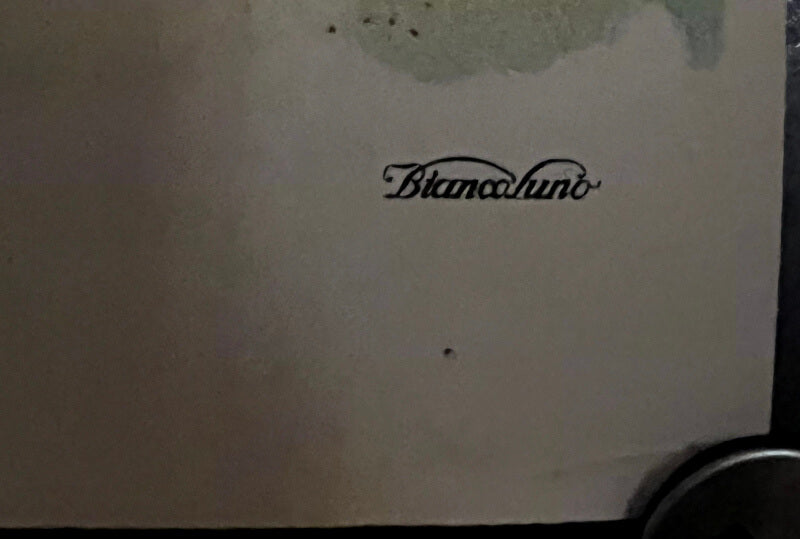 DDL - Det danske Luftfartselskab-PlakatKunst