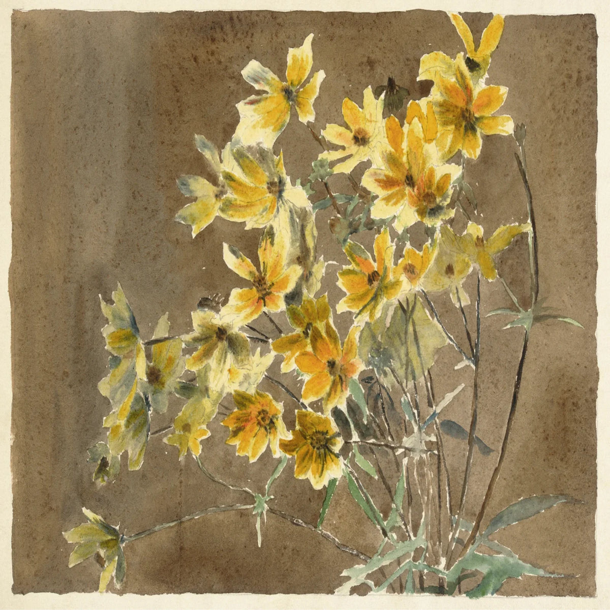 Gelbe Blume