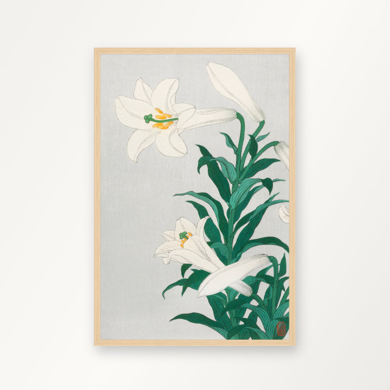 Lilien